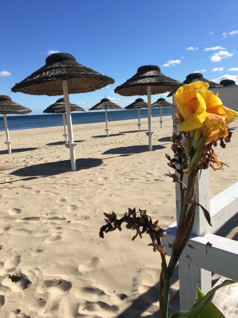 Jp Sopot Apartamenty エクステリア 写真